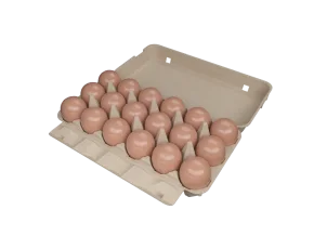 18-EGG BOX